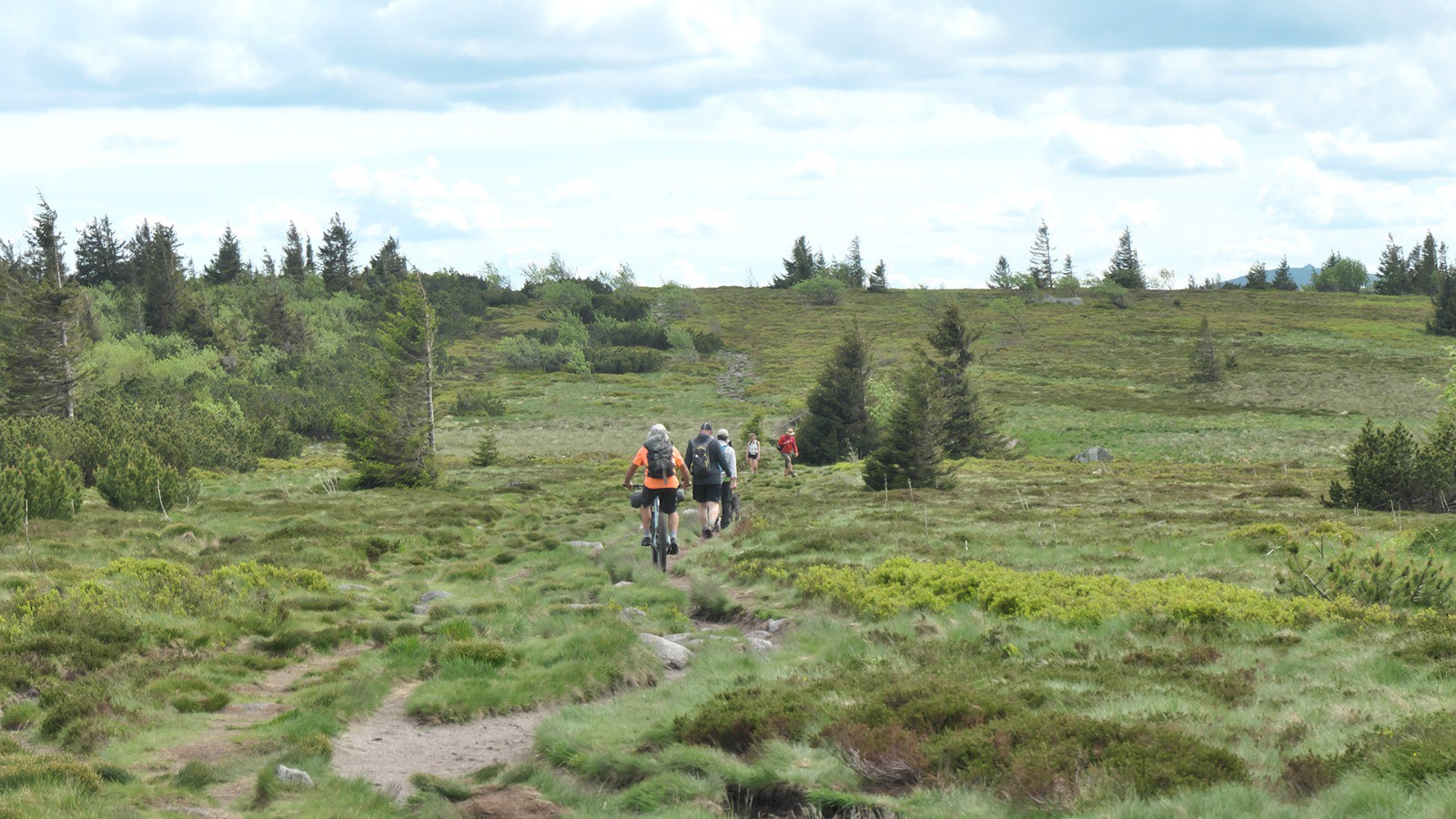 Sentier à blocs des Hautes Chaumes