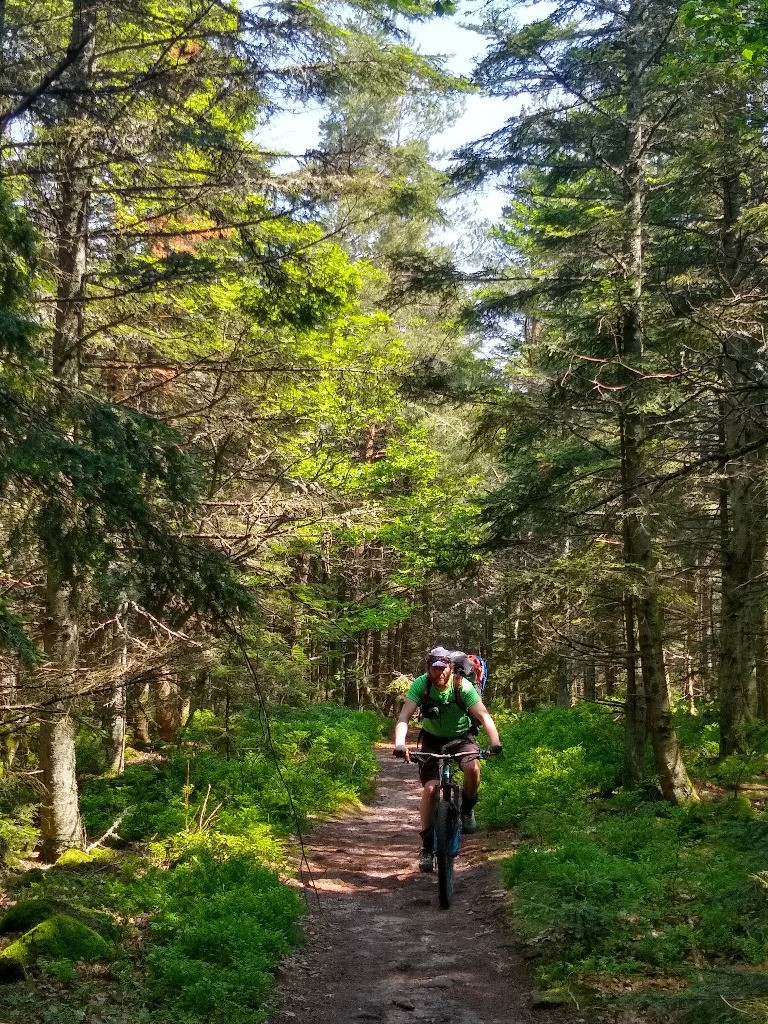 Montée vers le Mont Saint Odile