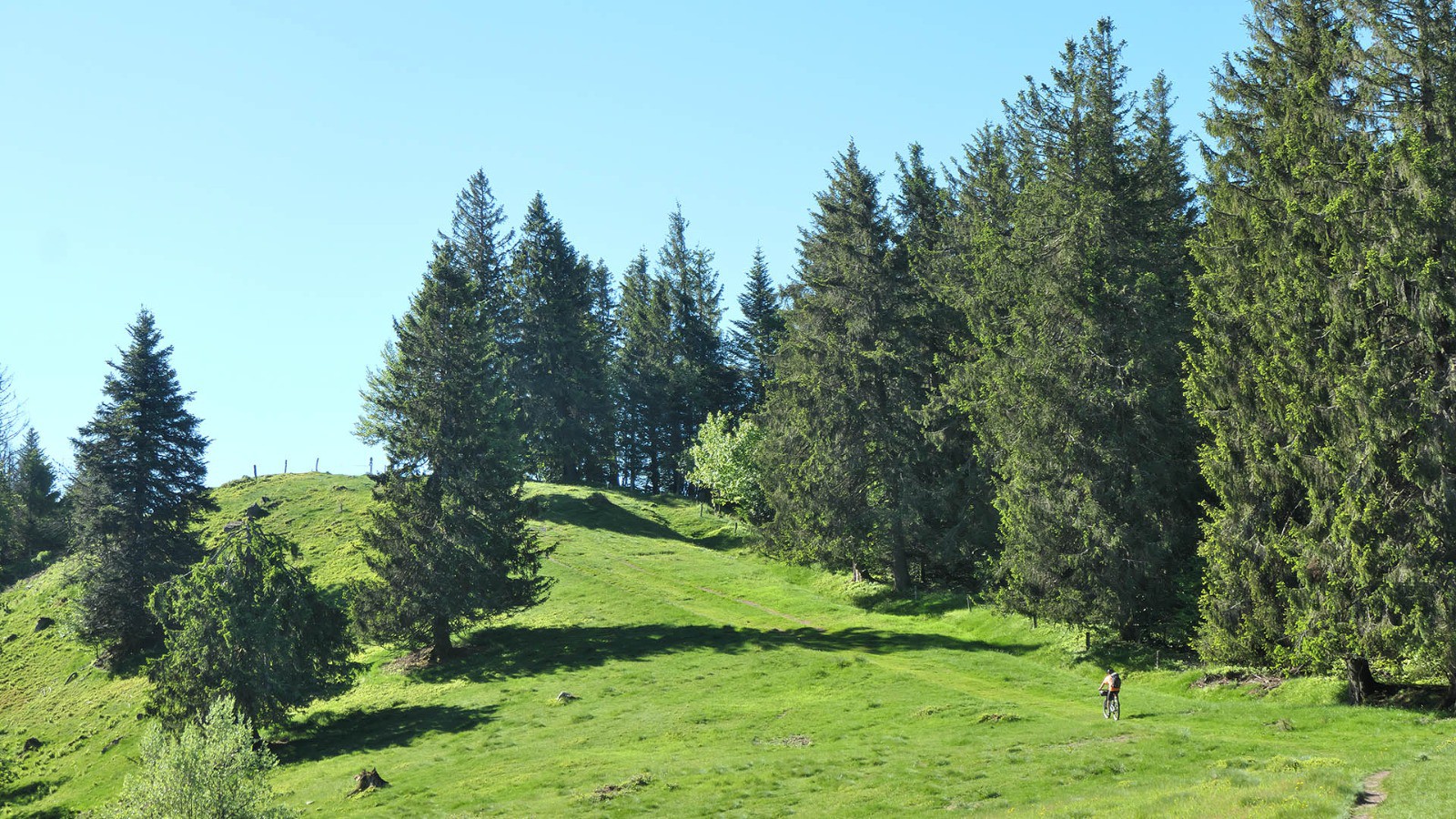 Haut de Felzach( J5)