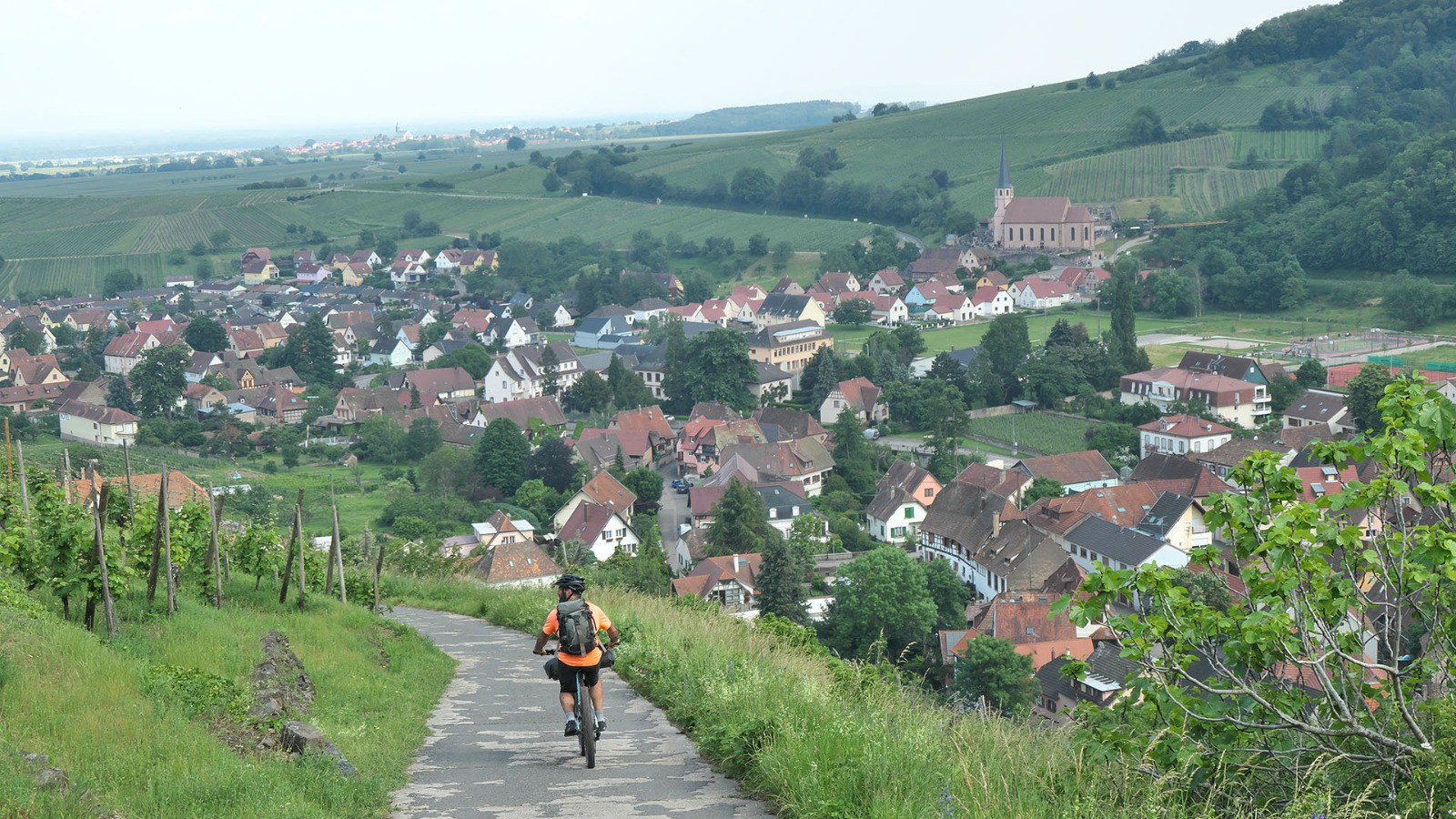 Dans les vignobles d'Andlau