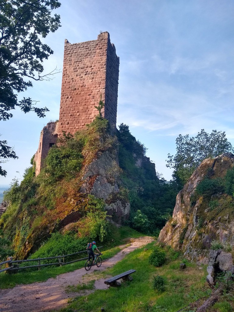 Descente sur Ribeauvillé