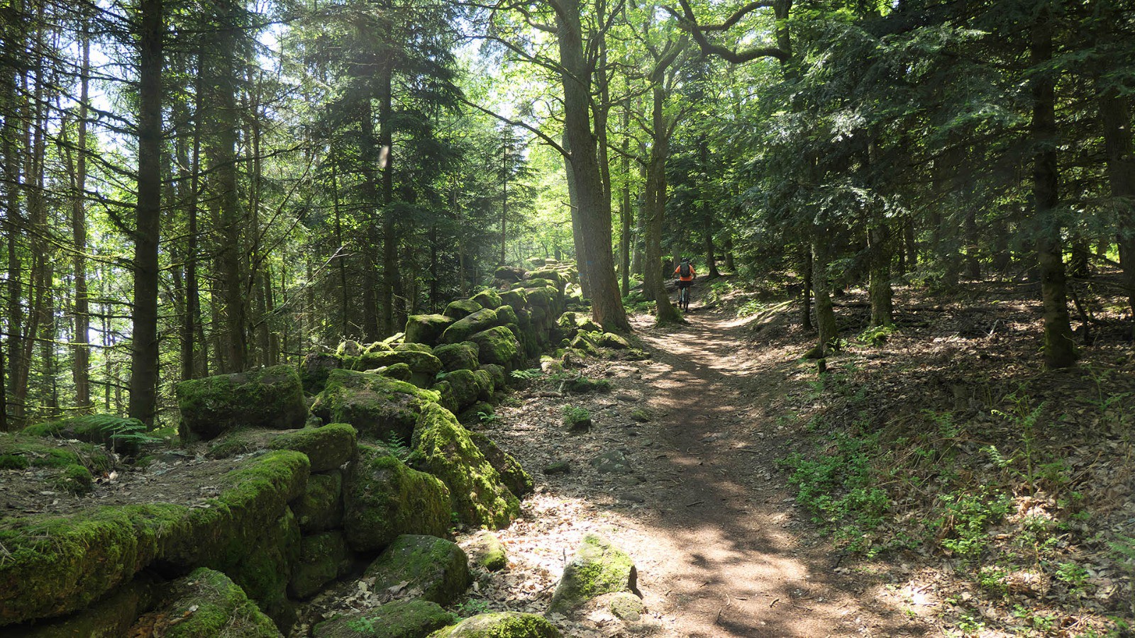 Le mur païen autour de la bosse de la Bloss