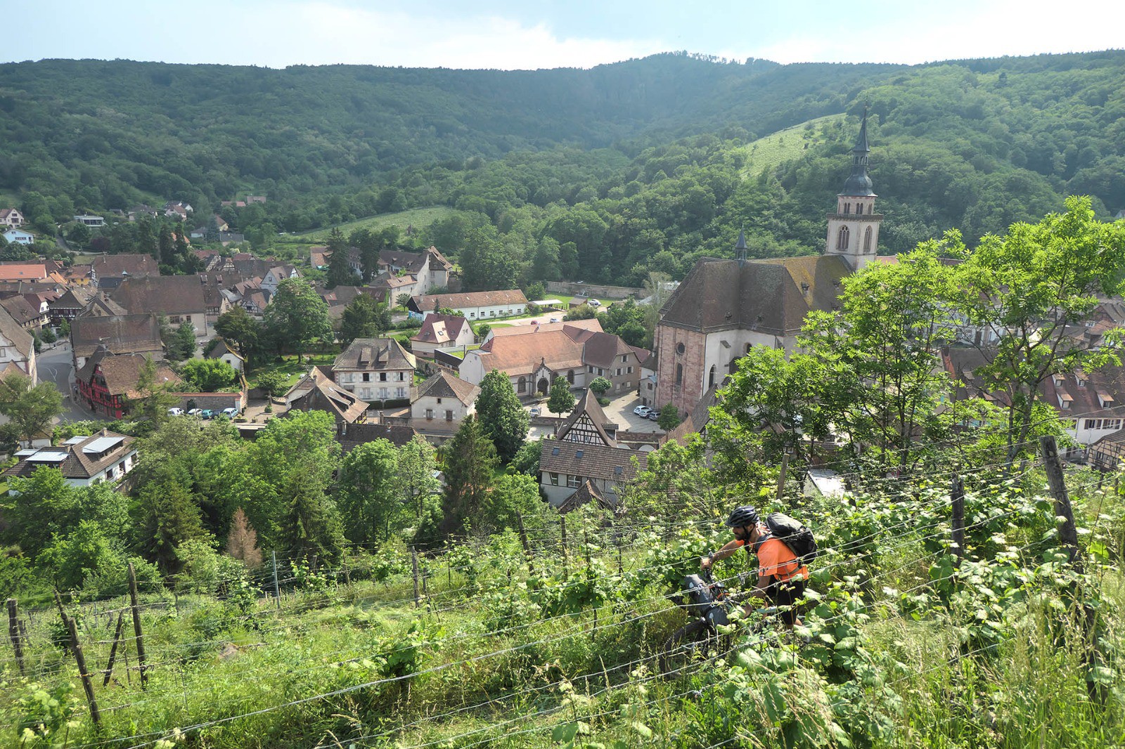 Dans les vignobles d'Andlau (J1)
