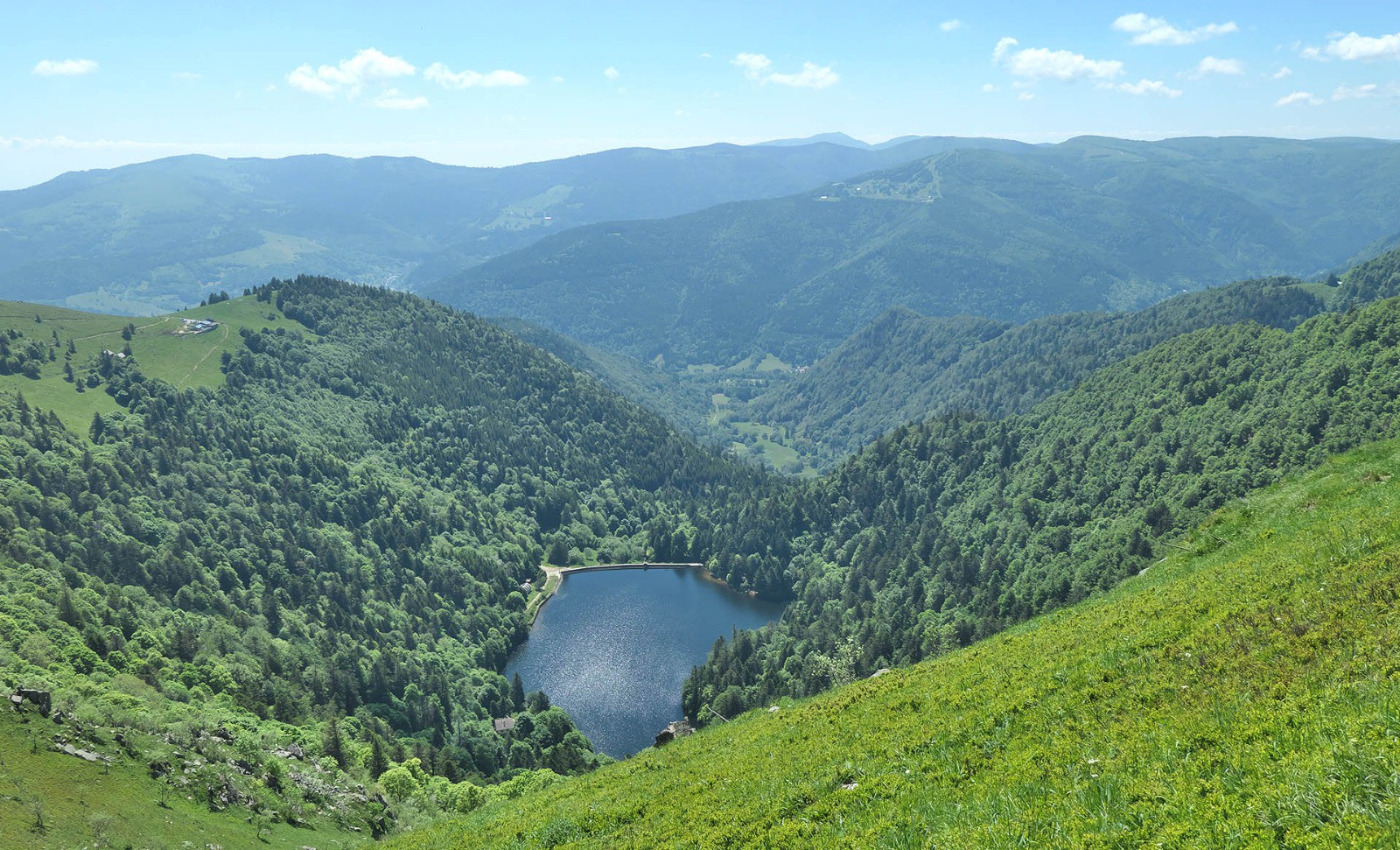 #66 Depuis le Honneck Depuis le Honneck