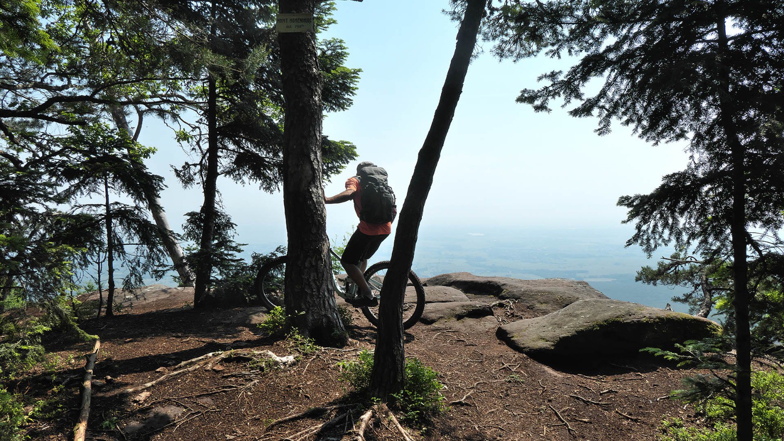 #7 Vue sur la plaine d Vue sur la plaine d'Alsace depuis le Hohenburgerberg