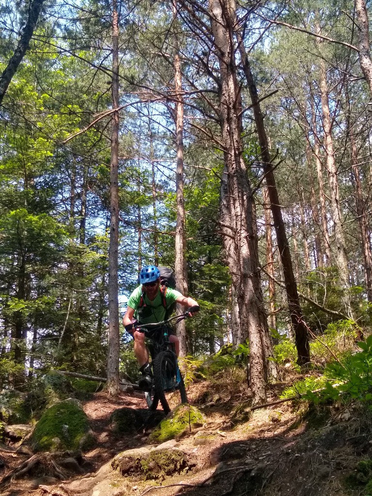 #8 Dans les sentiers du Mont Saint Odile Dans les sentiers du Mont Saint Odile