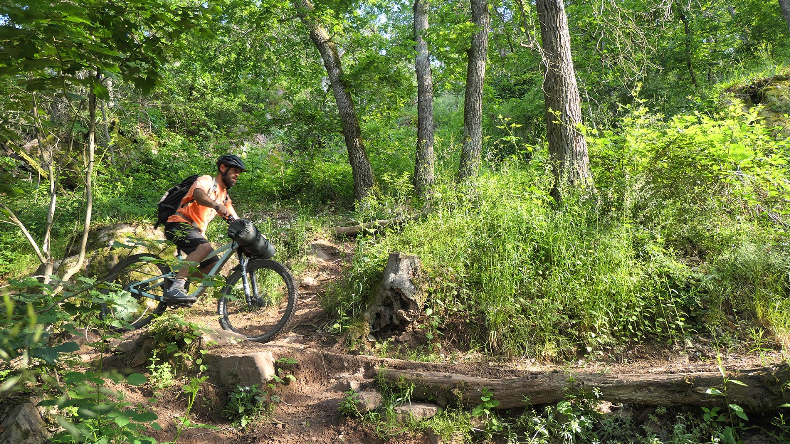 Belle descente sur Ribeauvillé