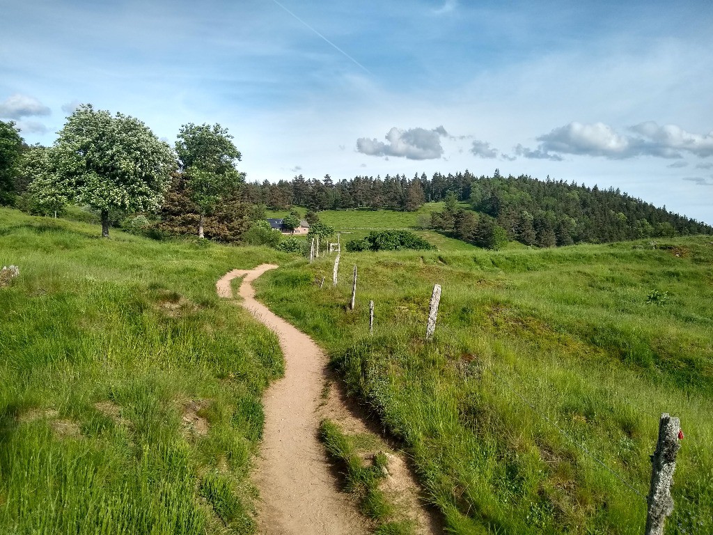 Peu avant l'enduro de Munster