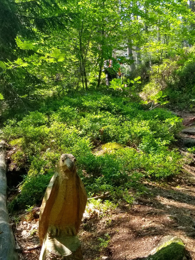 Sentier des Merveilles (Mont Saint Odile)