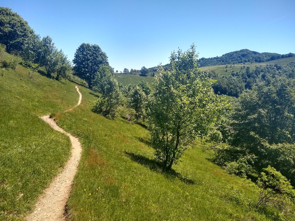 Sentier avant le Belacker, pas pire ;-)