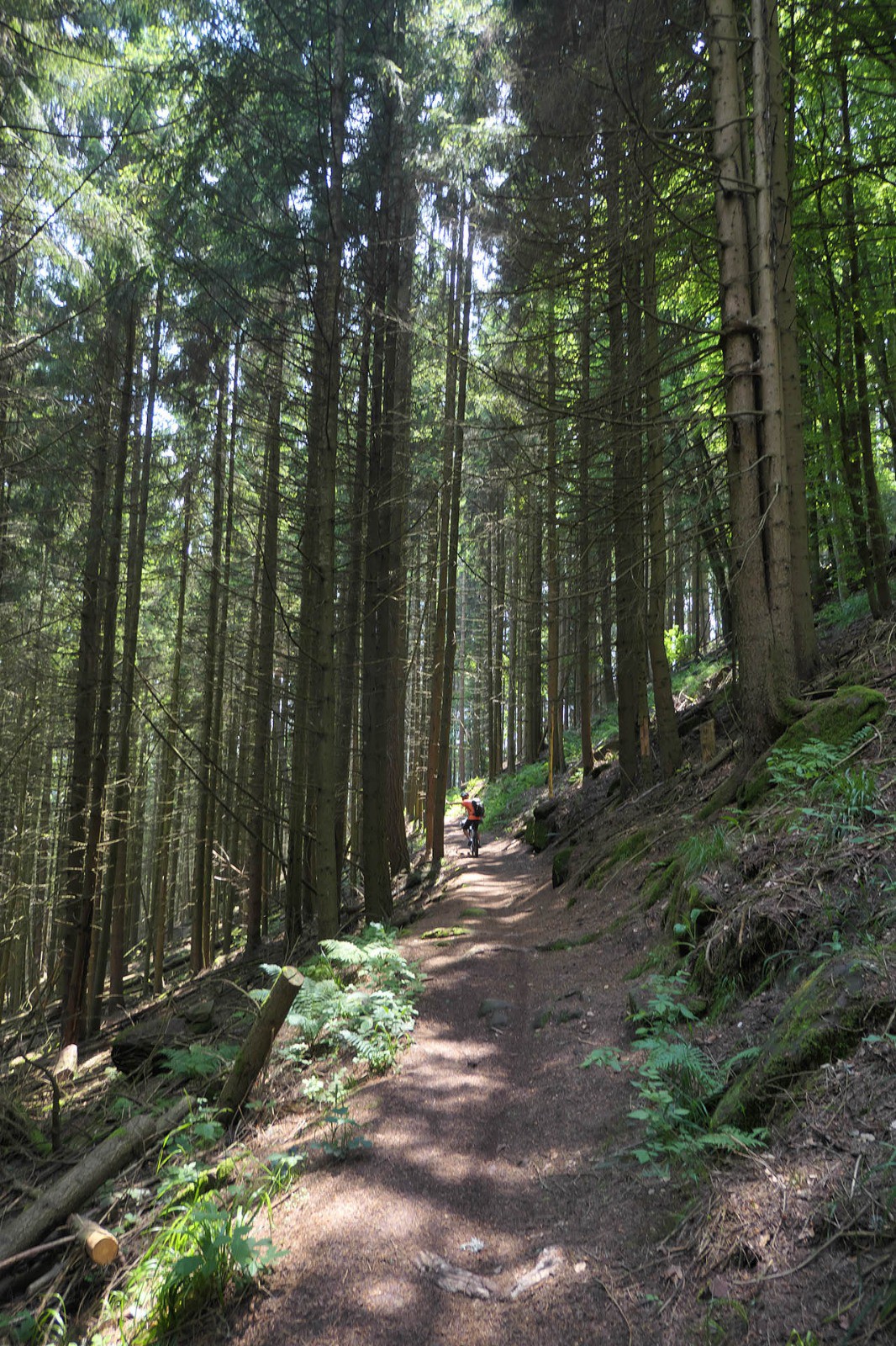 #16 Beau chemin tout lisse vers Welschbruch (toujours J1)
Beau chemin tout lisse vers Welschbruch (toujours J1)