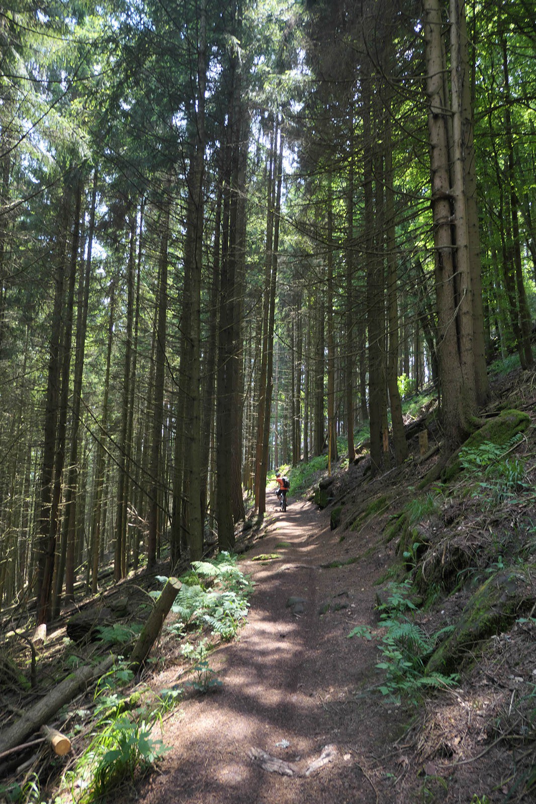 Beau chemin tout lisse vers Welschbruch (toujours J1)
