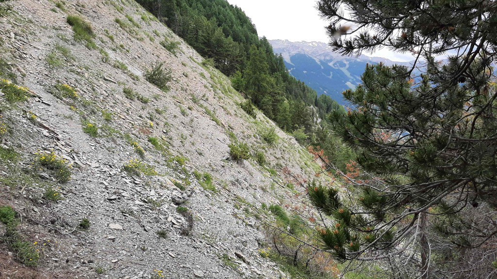 #5 Sentier "Balcon Méale", il faut rester concentré Sentier \