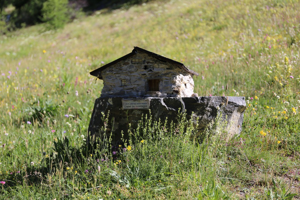 #1 Habitat local... Habitat local...