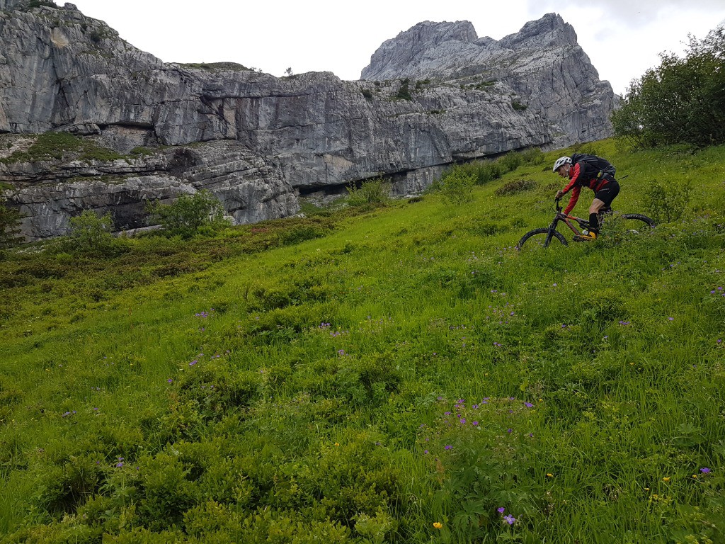 #11 Sentier discret pour rejoindre le sentier de la combe du Mt Charvet. Sentier discret pour rejoindre le sentier de la combe du Mt Charvet.