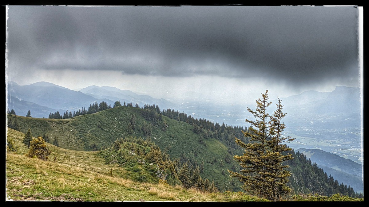 joli contraste, la tête dans les nuages