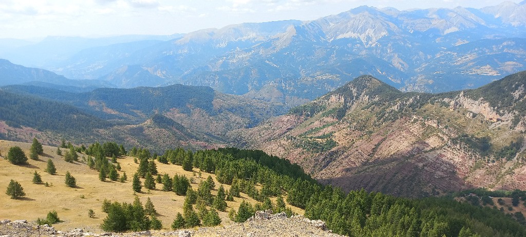 Gorges du Daluis