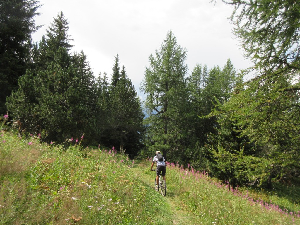 sous la Croix de Bellecombe