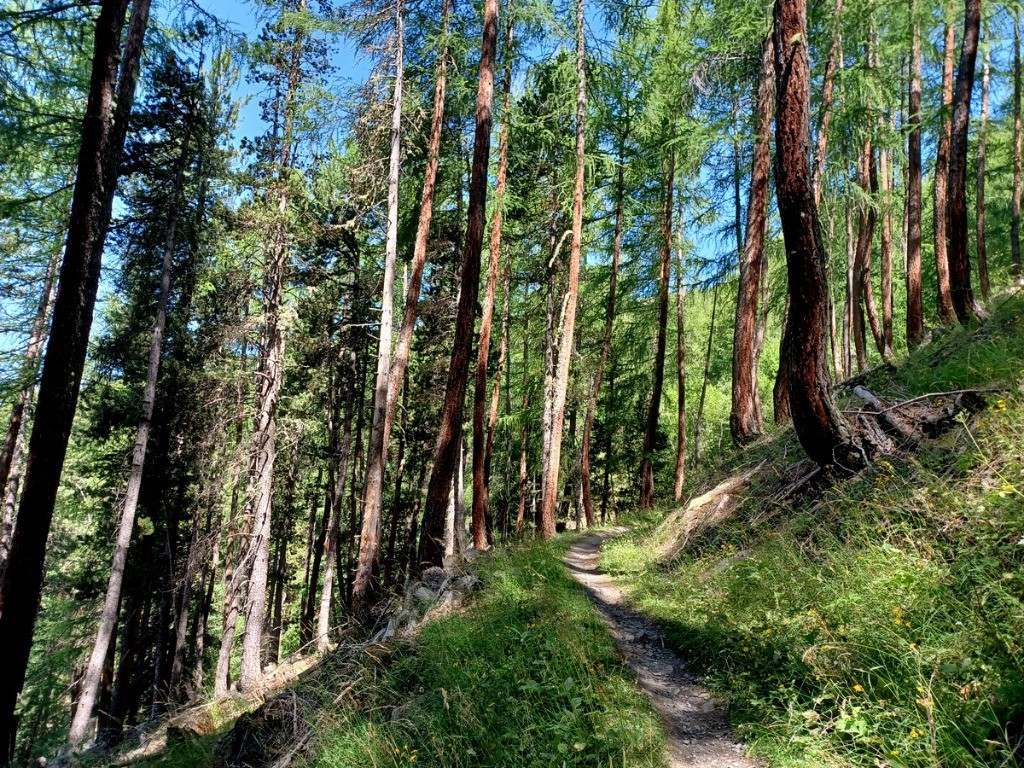 Descente au dessus du Monetier