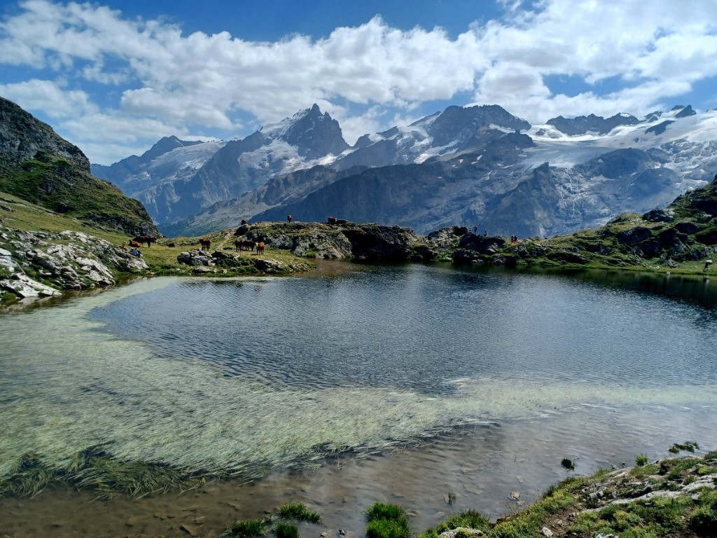 Meije et Rateau depuis le lac Lérié