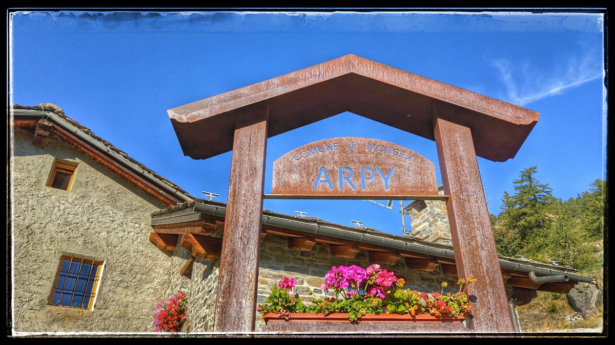 #4 Arpy Arpy