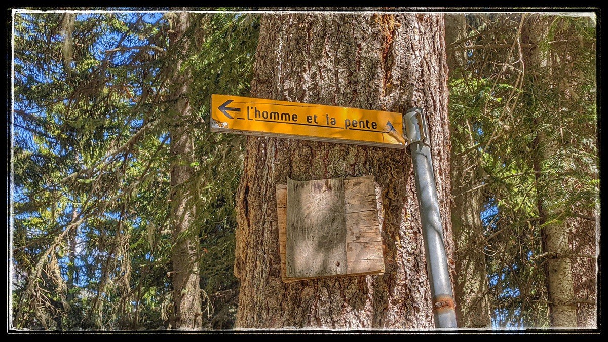 #15 ah c ah c'est sûr, y'a de la pente !