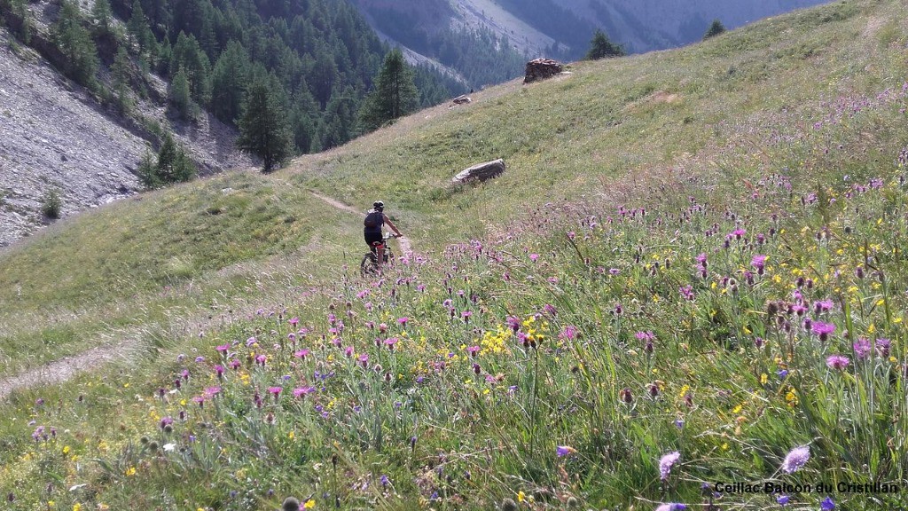 Cristillan à Ceillac