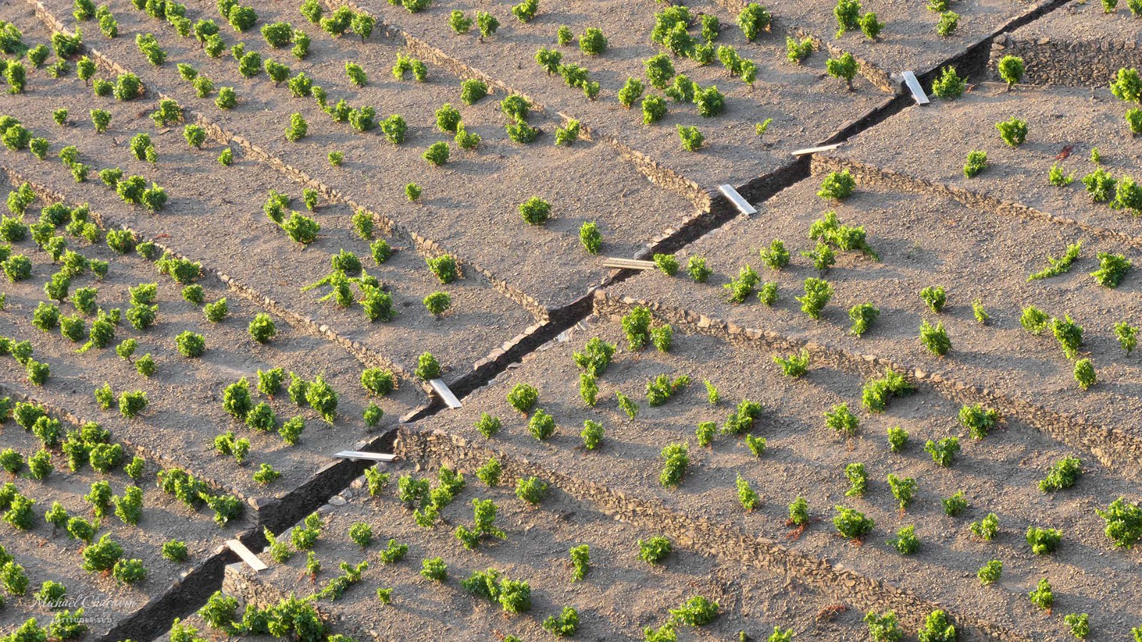 J1, vignobles au-dessus de Banyuls