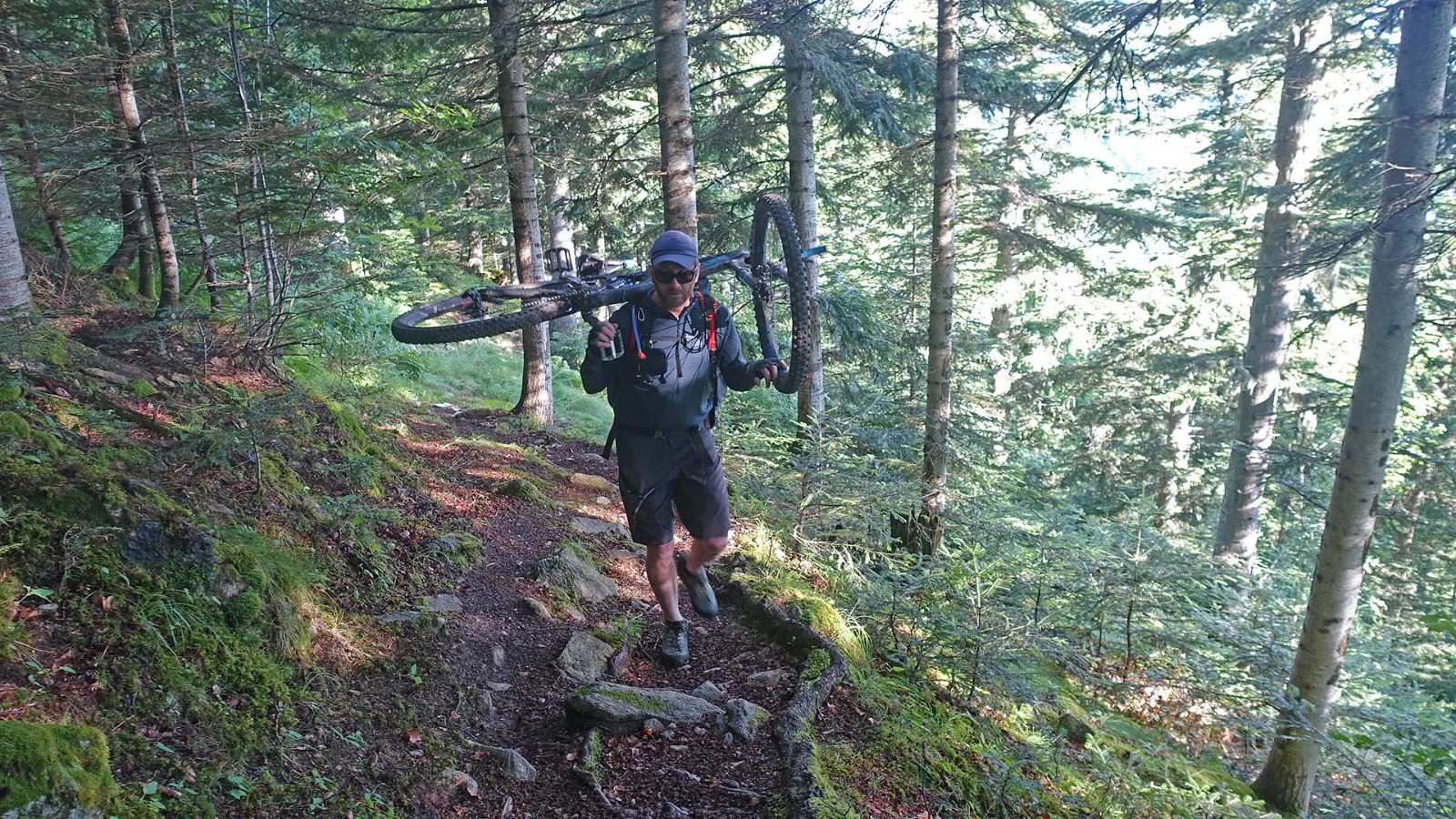 J4, début de journée en portage dans la hétraie sapinière