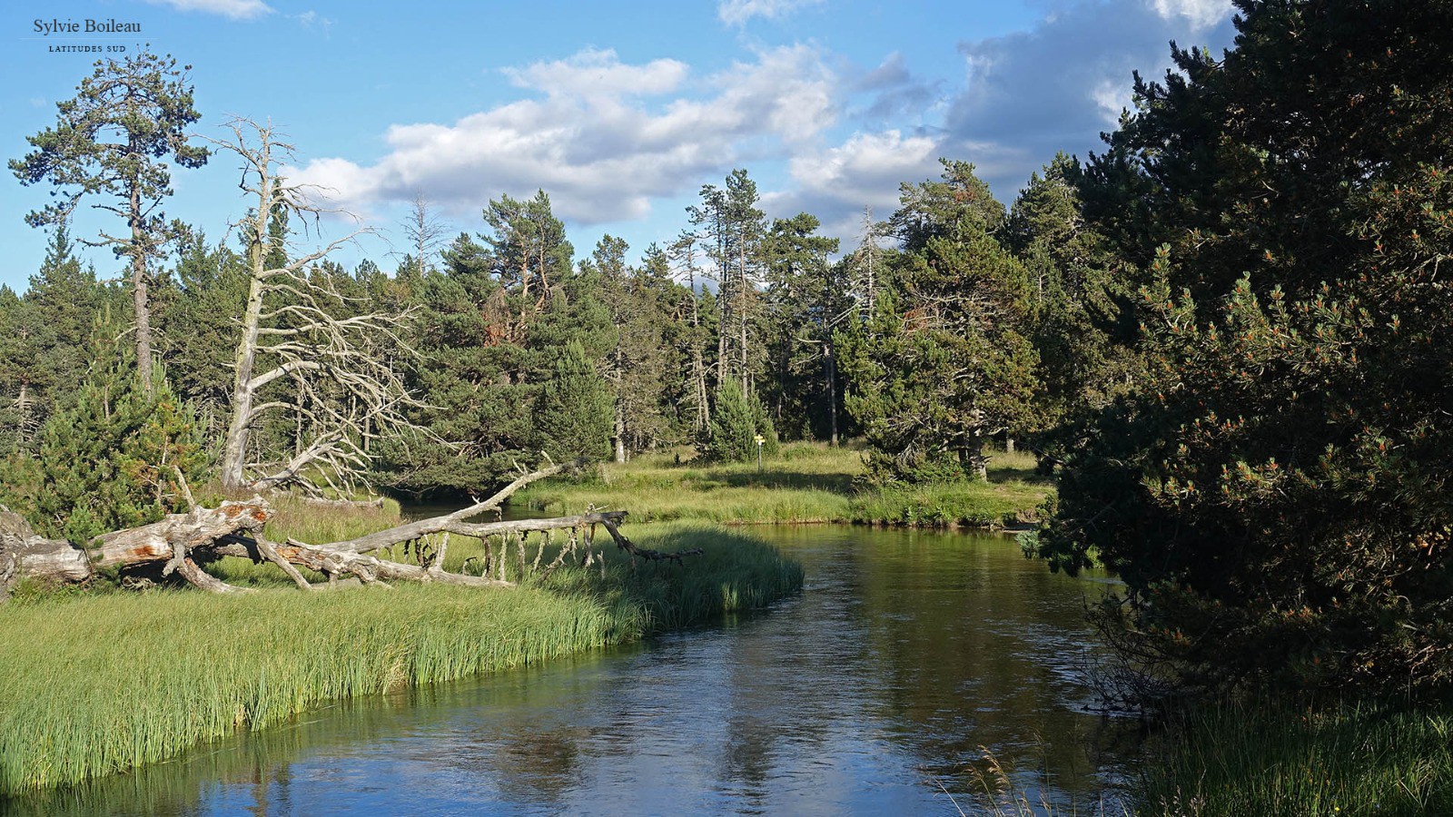 J6, sur les bords de la Têt