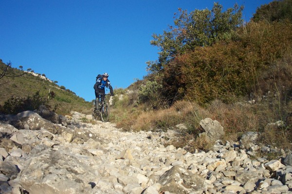 #4 Sentier Caricart : La descente commence Sentier Caricart : La descente commence