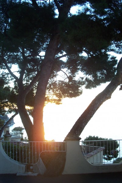 #2 Lever de soleil : Un peu plus haut. Lever de soleil : Un peu plus haut.