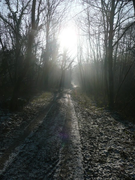 #4 Chemin faisant : hiver Chemin faisant : hiver
