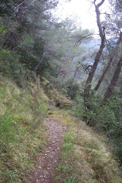 Sentier valléen : A présent je longe la Roya