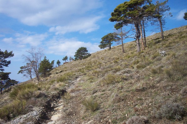 Ca monte toujours : Je commence à chauffer, et la poussette est de rigueur sur ce superbe sentier conduisant à Roche Fourquin.