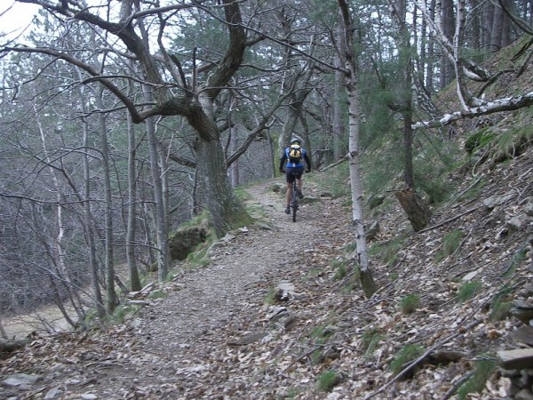 #7 En direction du Cros de Coulis En direction du Cros de Coulis