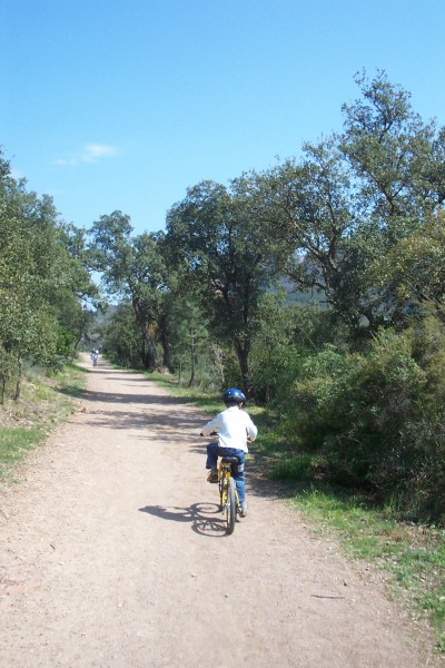 #1 Piste forestière : La montée est longue pour lui, mais il va aller jusqu Piste forestière : La montée est longue pour lui, mais il va aller jusqu'au bout sans rechigner !