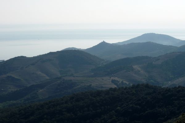 St-Elme : On monte et le paysage devient de plus en plus grandiose côté mer avec le fort de St-Elme au dessus de Collioure entre autre.