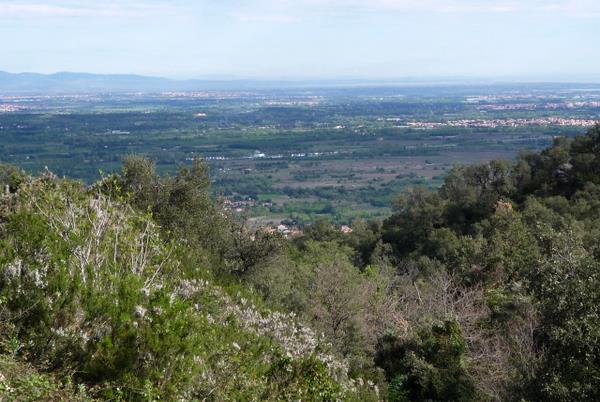 Vue sur la plaine : Avec l'altitude, la plaine s'offre aux yeux entre les arbres.