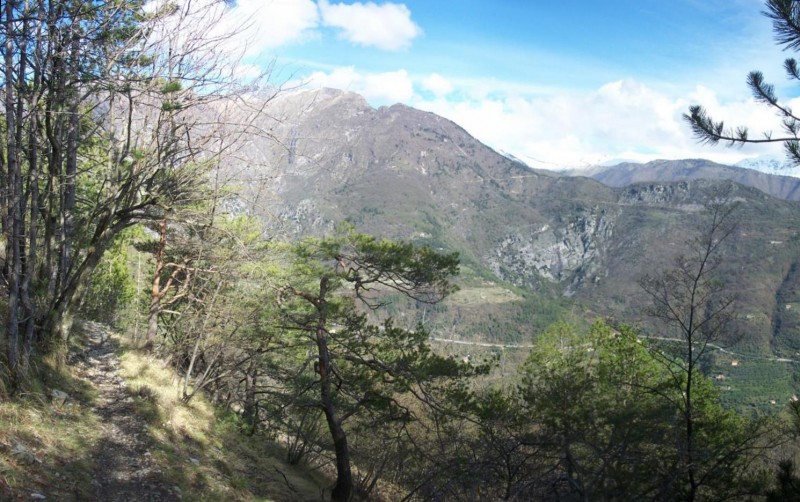 Ubac de la cime du Bosc : Superbe panorama