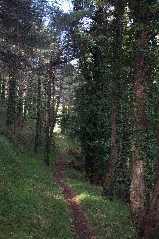 Single glissouillant : Pour rejoindre le col de Brouis