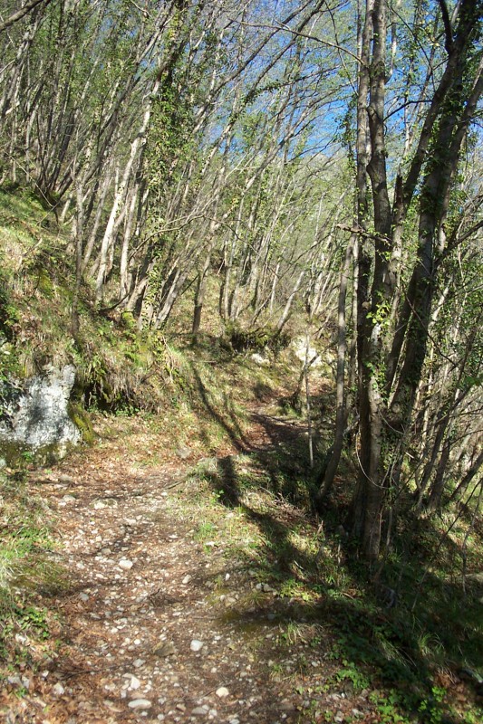 Col de Brouis : Sentier conduisant au col de Brouis