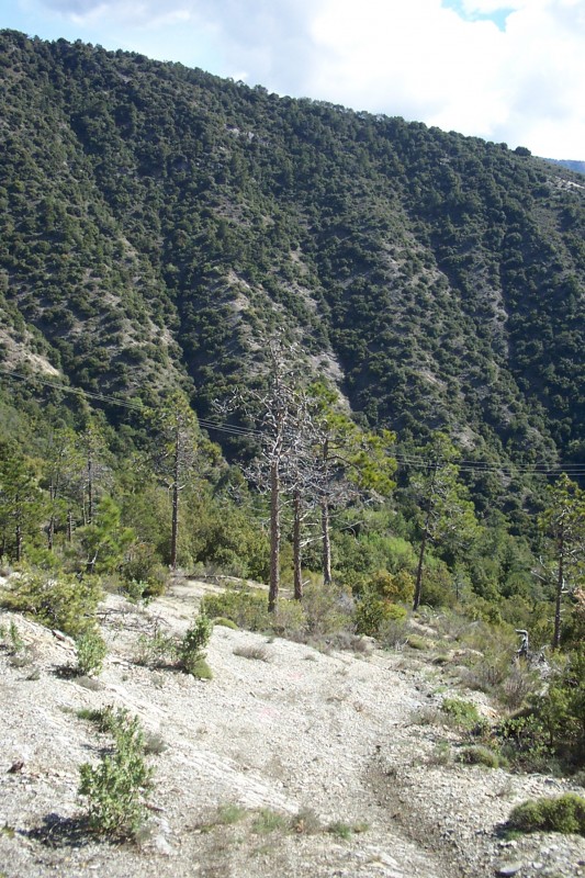 Schistes gris : La descente à la cabane de Viravourgio est au top