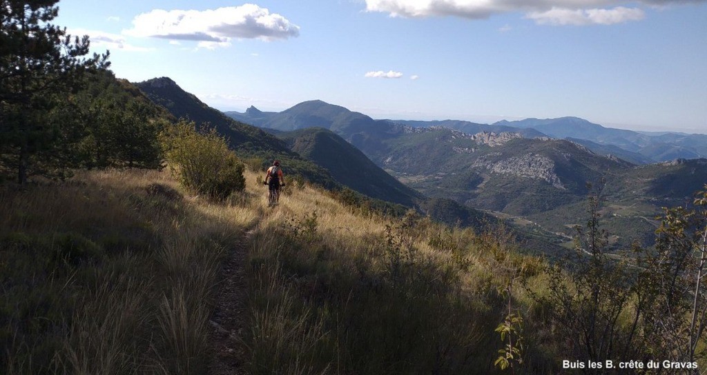 #3 Buis, Montagne de Gravas Buis, Montagne de Gravas