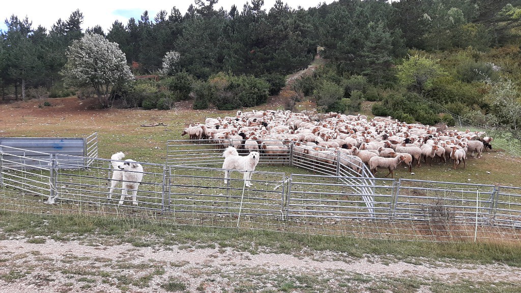 Eux on préfère les éviter