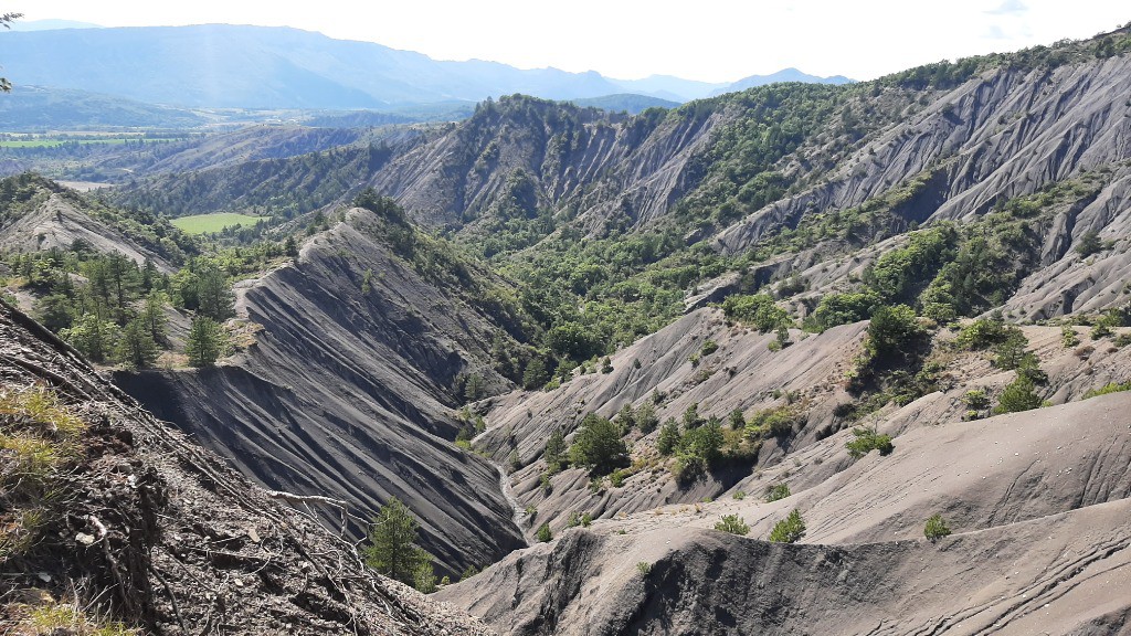 Terrain de jeux