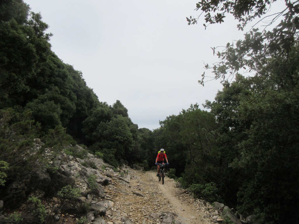 #6 descente sur Cadula Fuili descente sur Cadula Fuili