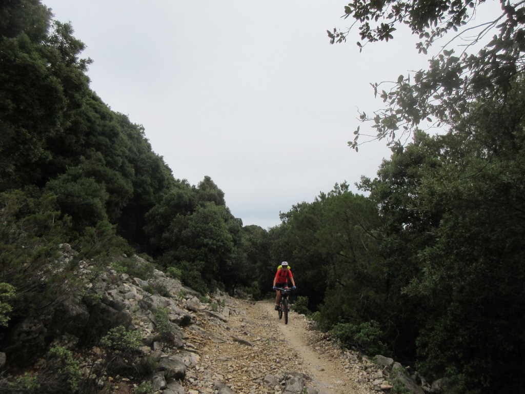 descente sur Cadula Fuili