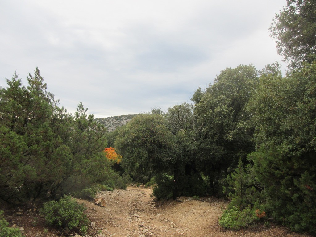 descente sur Cadela Fuili