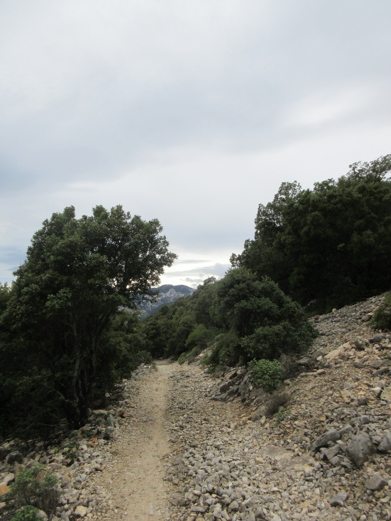 descente sur Cadela Fuili